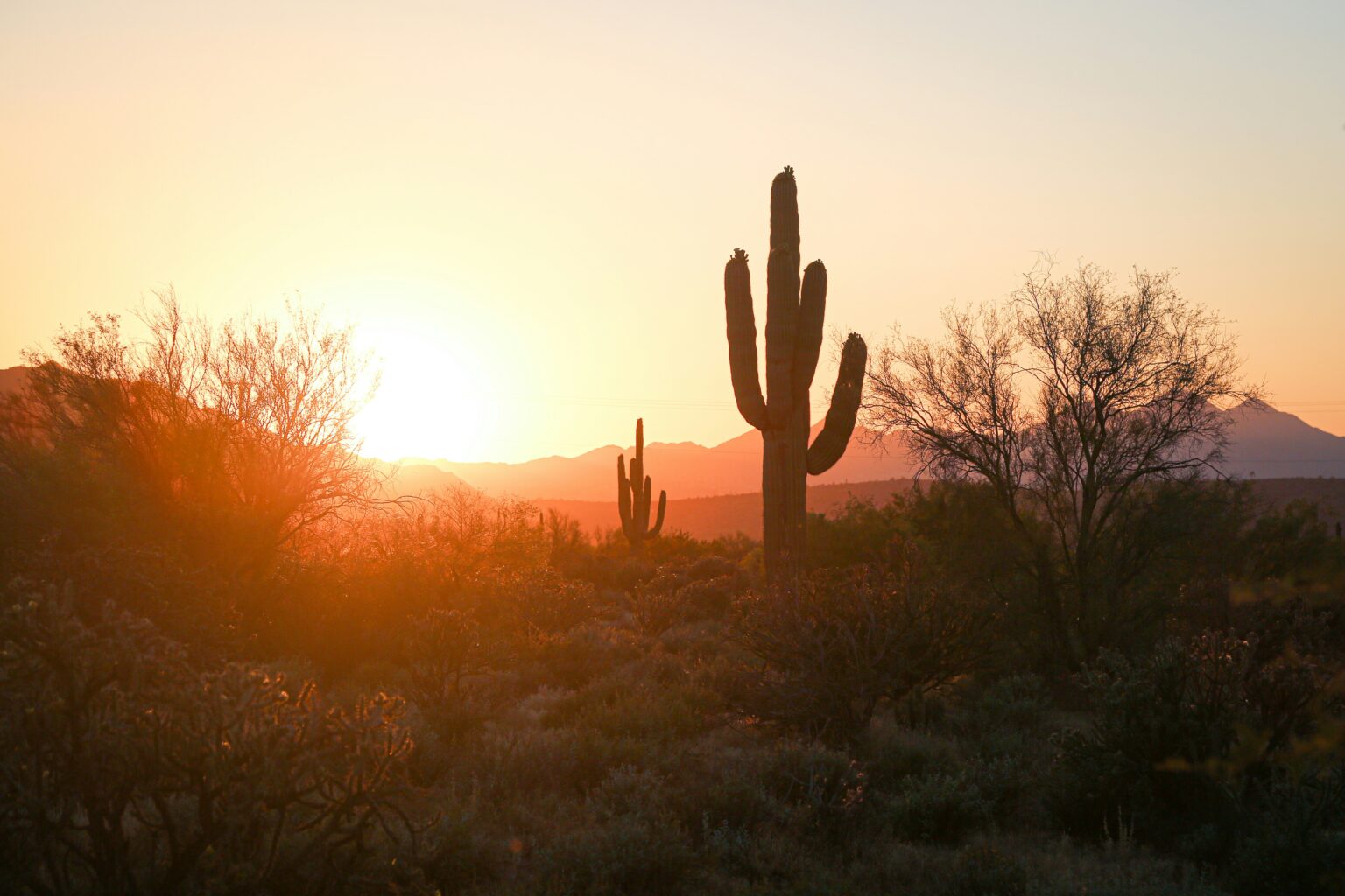 About Phoenix QuiltCon